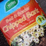 Bed-and-border-chipped-bark