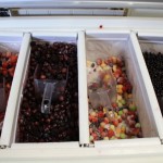 Frozen fruit Frozen fruit