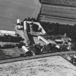 Shop Site