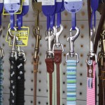 dog leads