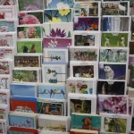 Cards for any occasion Cards for any occasion
