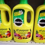All purpose plant fertiliser