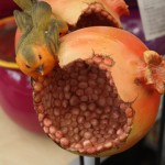 Bird feeder decorative