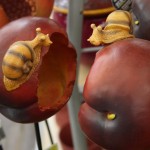 Bird feeder decorative snails