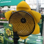 Bird feeder flower buttercup