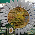 Bird feeder flower diasy