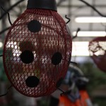 Bird feeder ladybird