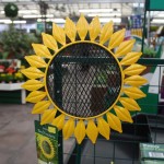 Bird feeder sunflower