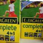 Evergreen complete 4 in 1 medium size box