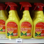Glyphosate weed and root killer