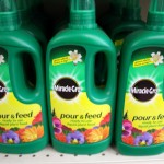 Miracle grow pour and feed