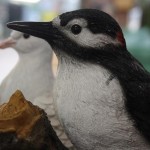 Plastic animals for gardens birds Plastic animals for gardens birds