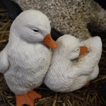 Plastic animals for gardens ducks Plastic animals for gardens ducks