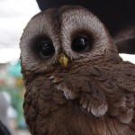 Plastic animals for gardens owls Plastic animals for gardens owls