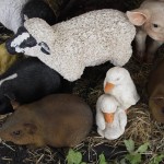 Plastic animals for gardens sheep ducks and guinea pigs Plastic animals for gardens sheep ducks and guinea pigs