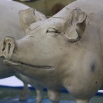 Plastic animals for gardens sows Plastic animals for gardens sows