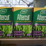 Treatments-pest-control4