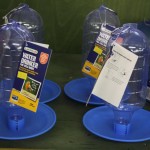 Water drinker for wild birds
