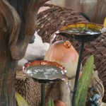 Water features multi-tiered