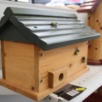 Wooden bird box medium
