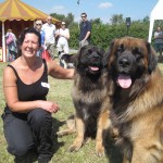 Companion Dog Show At Bellis Brothers 2011 3