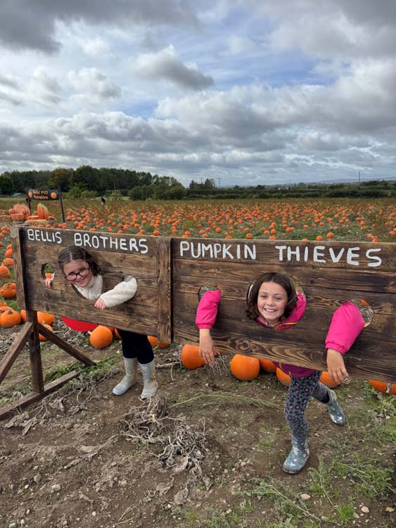 Pick Your Own Pumpkins